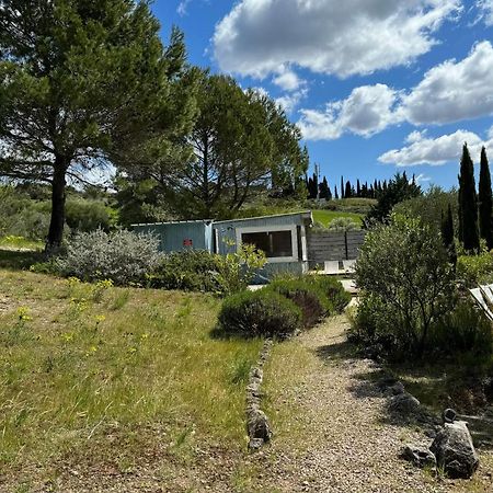Chambre Tropicale Au Domaine De L'Aven Villeneuve-Minervois Zewnętrze zdjęcie